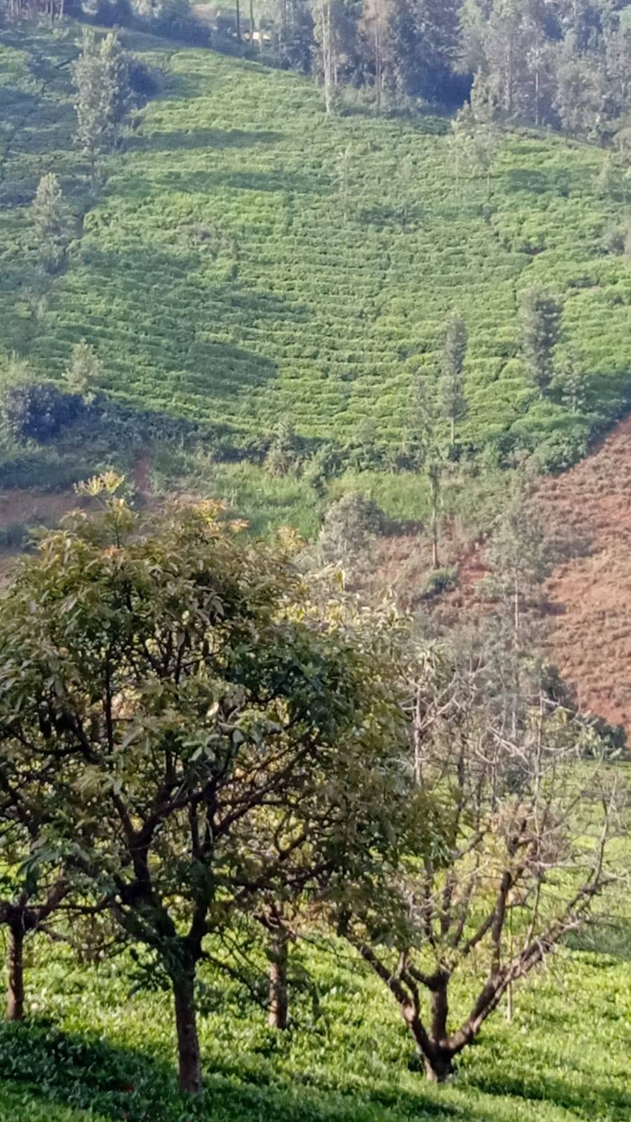 2 acres land for sale in Gatundu South
