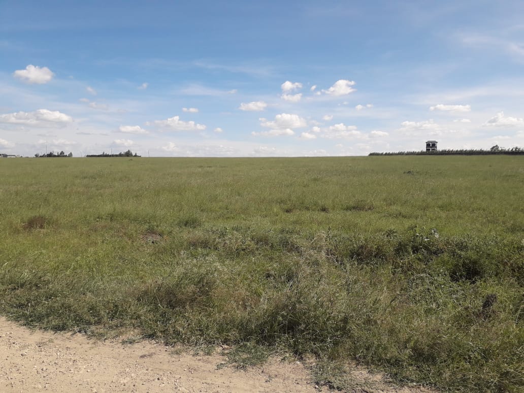 2 acres Land for Sale in Isinya, Kajiado County