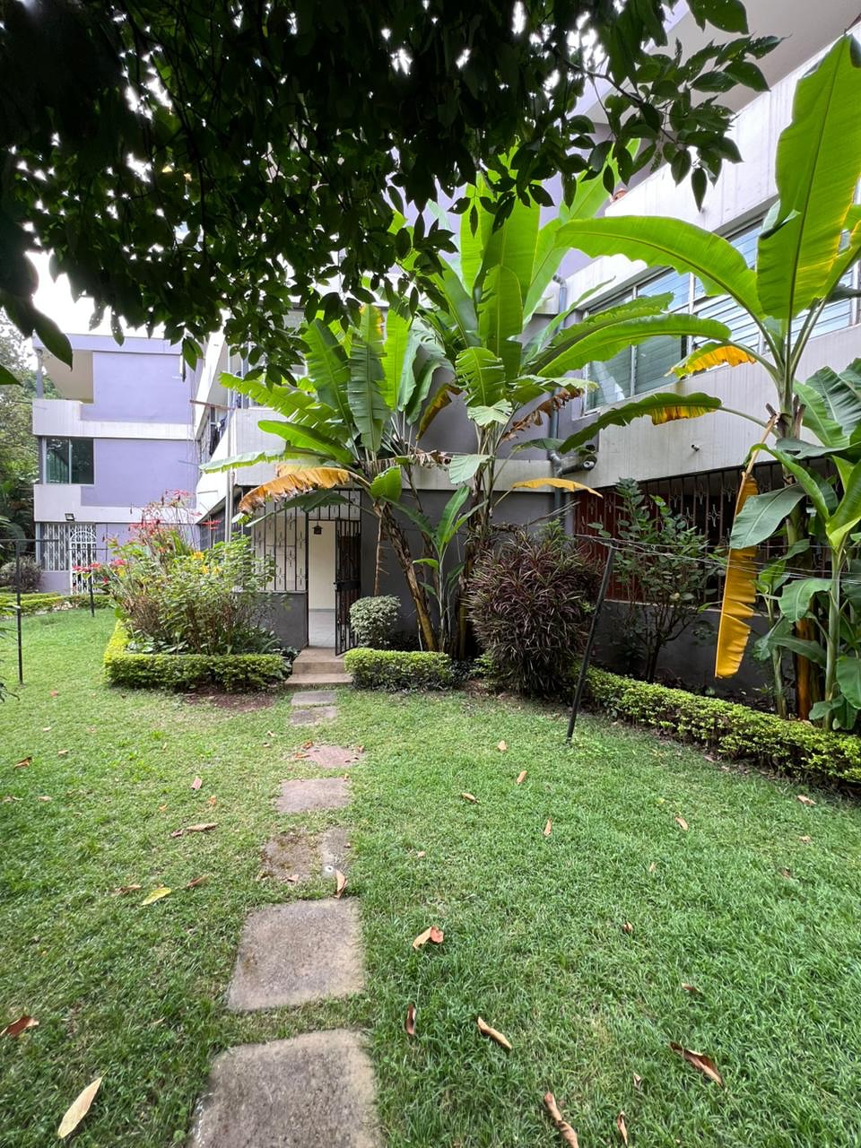 2 bedroom apartment plus dsq to let in Kilimani