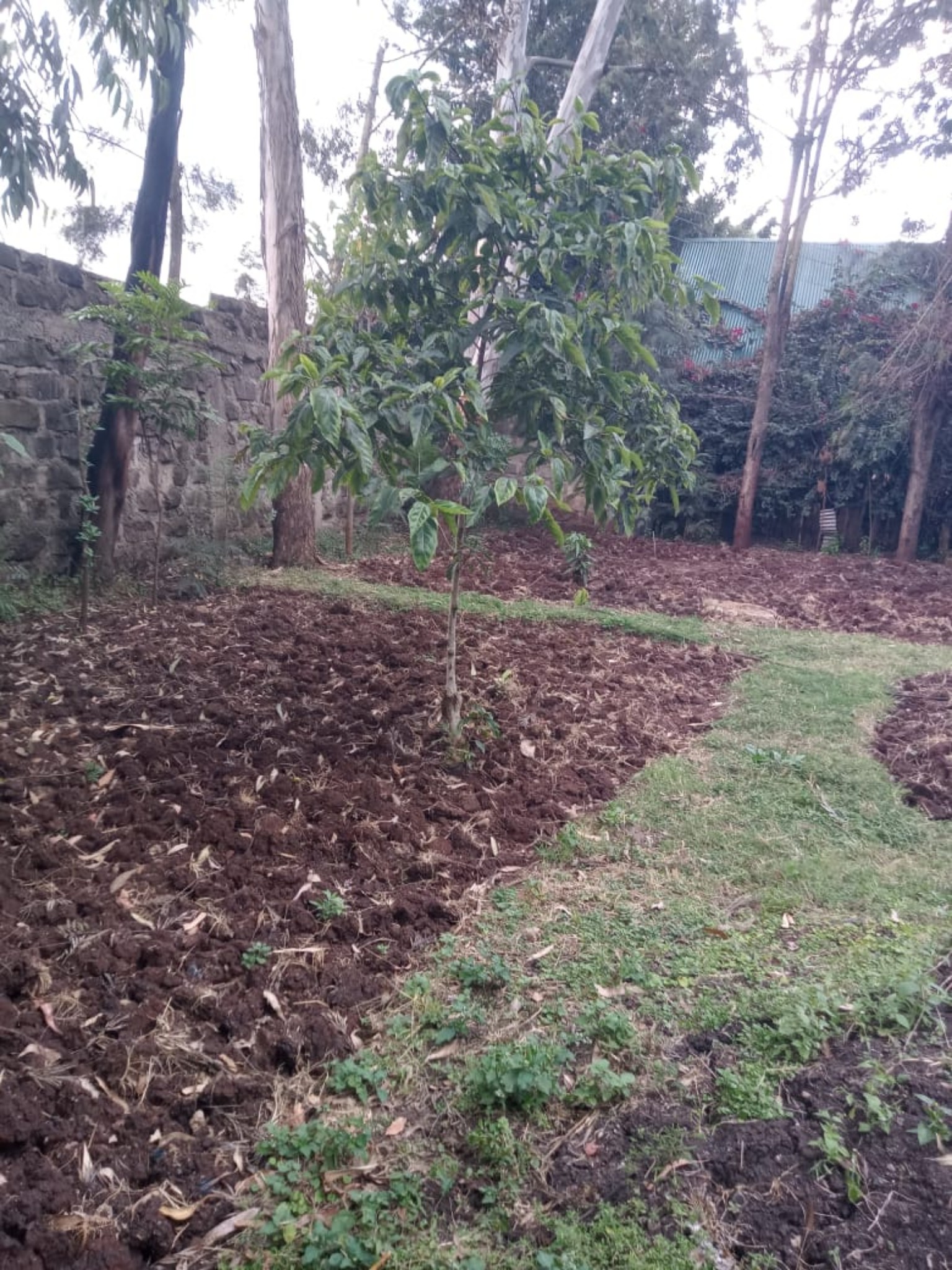 2 bedroom bungalow for sale in Kerarapon Image