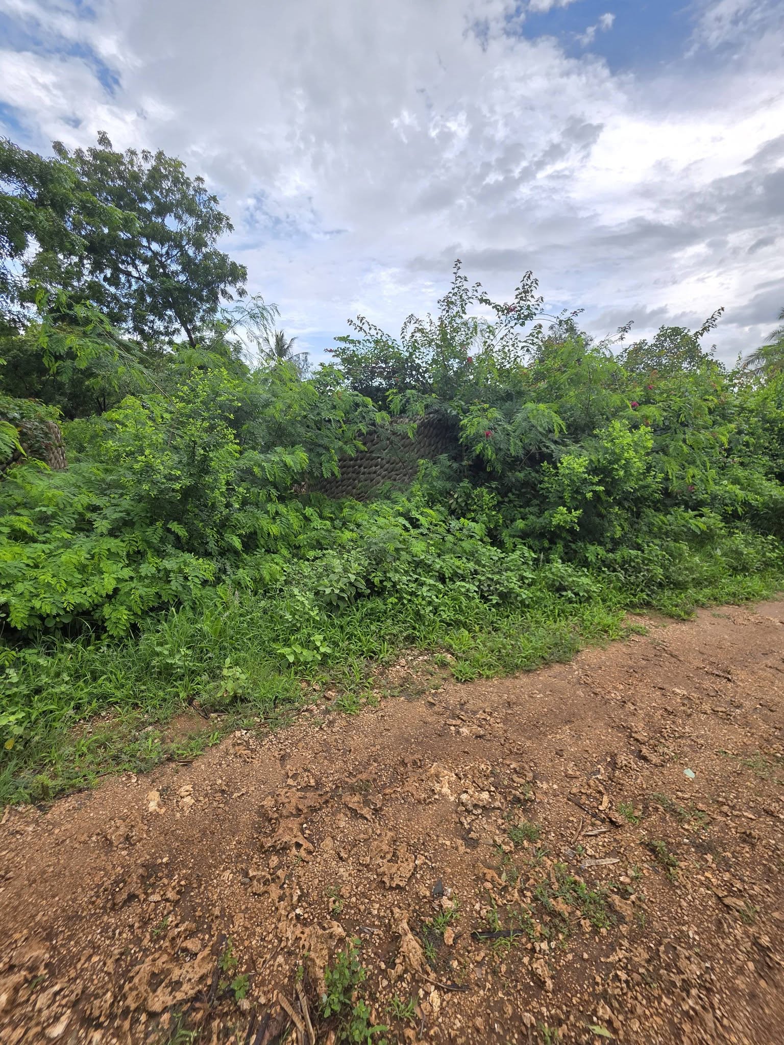 2 pieces of 1/4 acre plots for sale in Diani, behind Sunderowner off Beach Road.