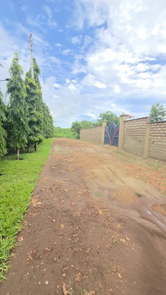 2 pieces of 1/4 acre plots for sale in Diani off Beach Road, behind Galu Inn.