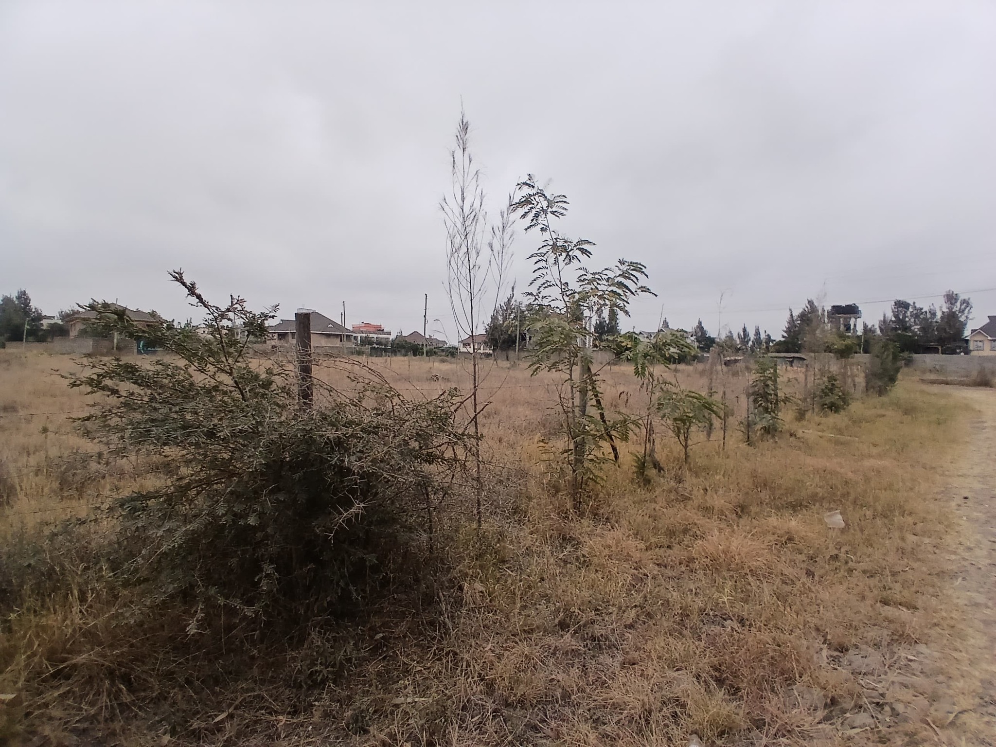 2 Prime 0.05ha Plots For Sale in Syokimau (Quarry Road, via Katani Road)