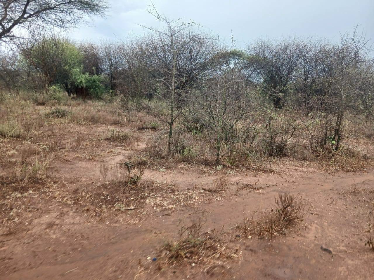 20 acre land for sale in mailtisa, kajiado Image