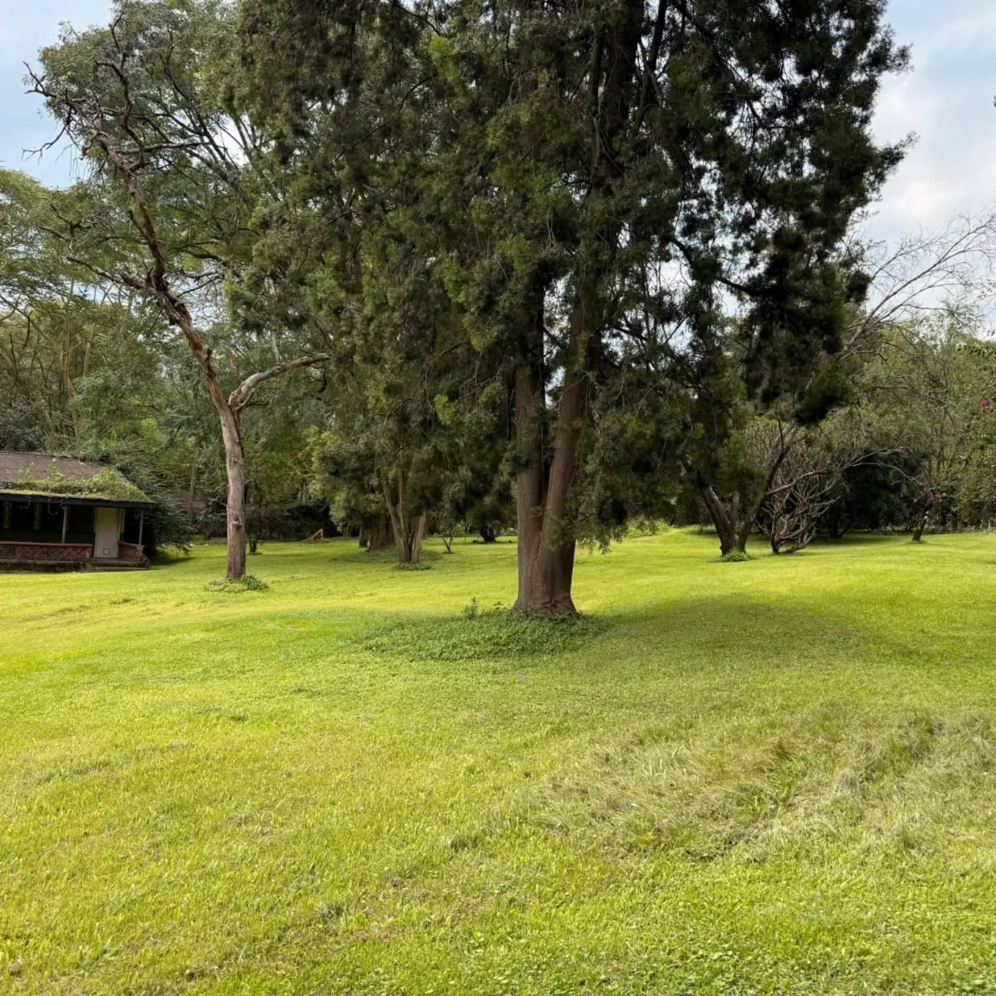 20 acre land for sale in nakuru Image