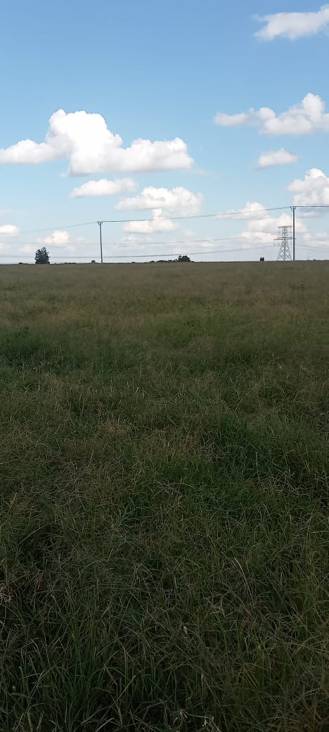 20 ACRES LAND FOR SALE IN ISINYA, KAJIADO COUNTY