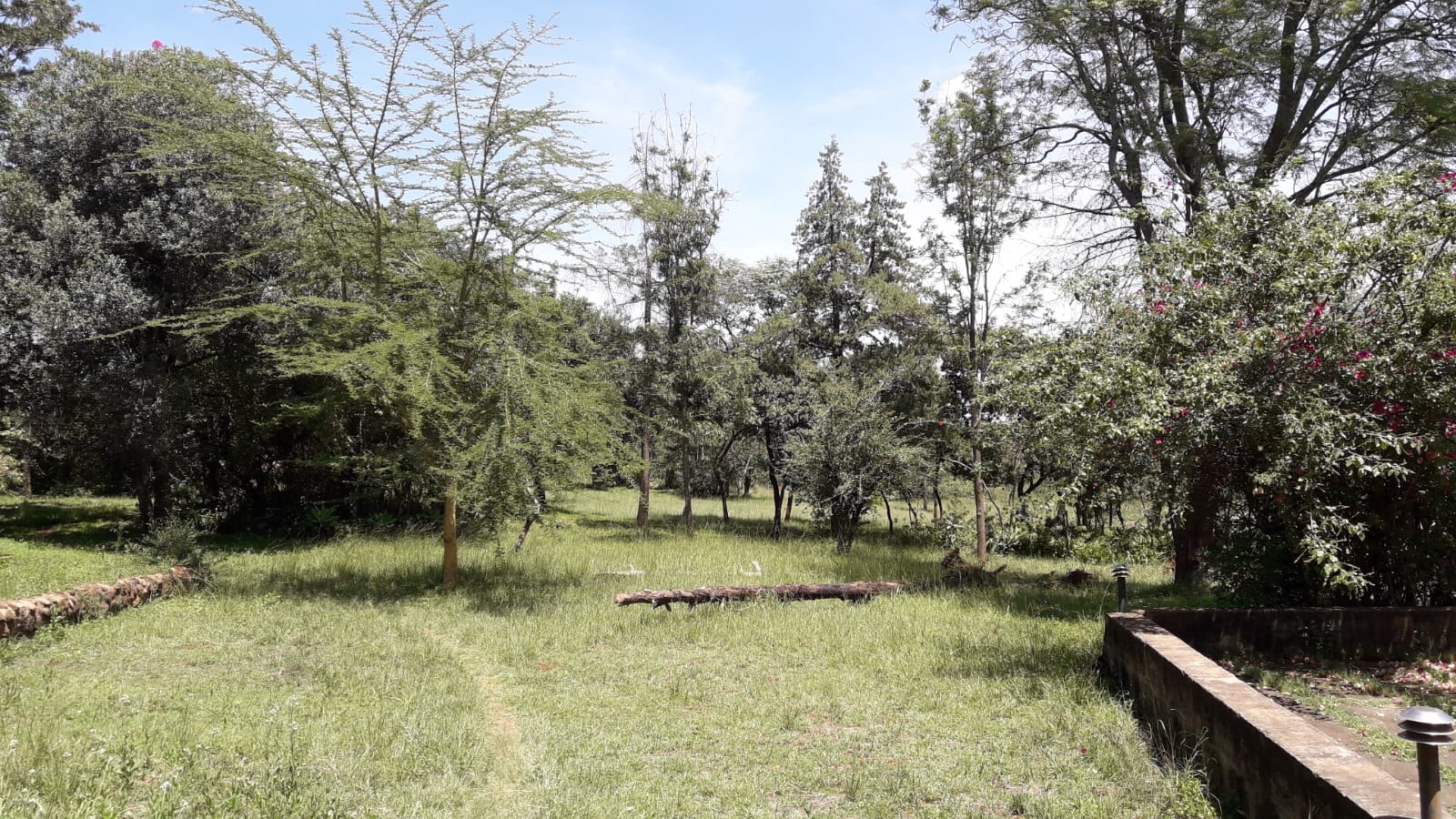 20 acres of prime plot for sale in Karen