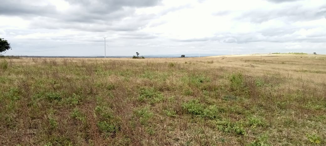 20 ACRES PRIME LAND FOR SALE IN ISINYA, KAJIADO COUNTY