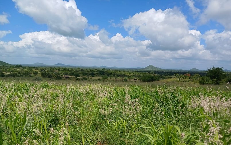 200 acres of virgin land available for sale in Makindu, Makueni
