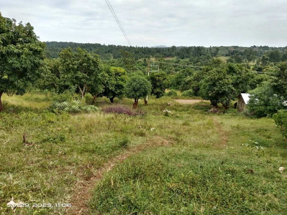 200 ACRES ON SALE IN EMBU SIAKAGO