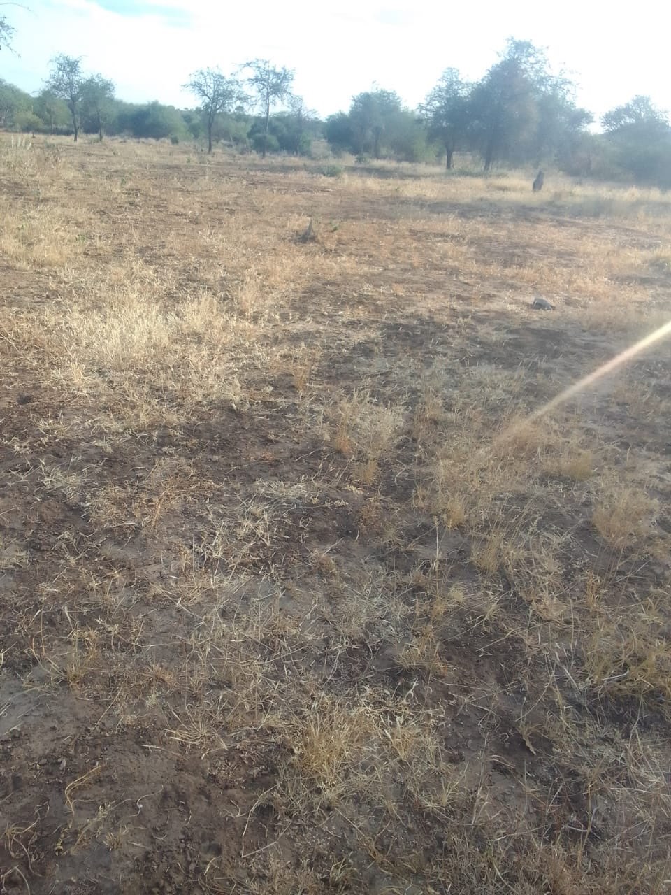 200 Acres Virgin Land For Sale in Makindu, Makueni County