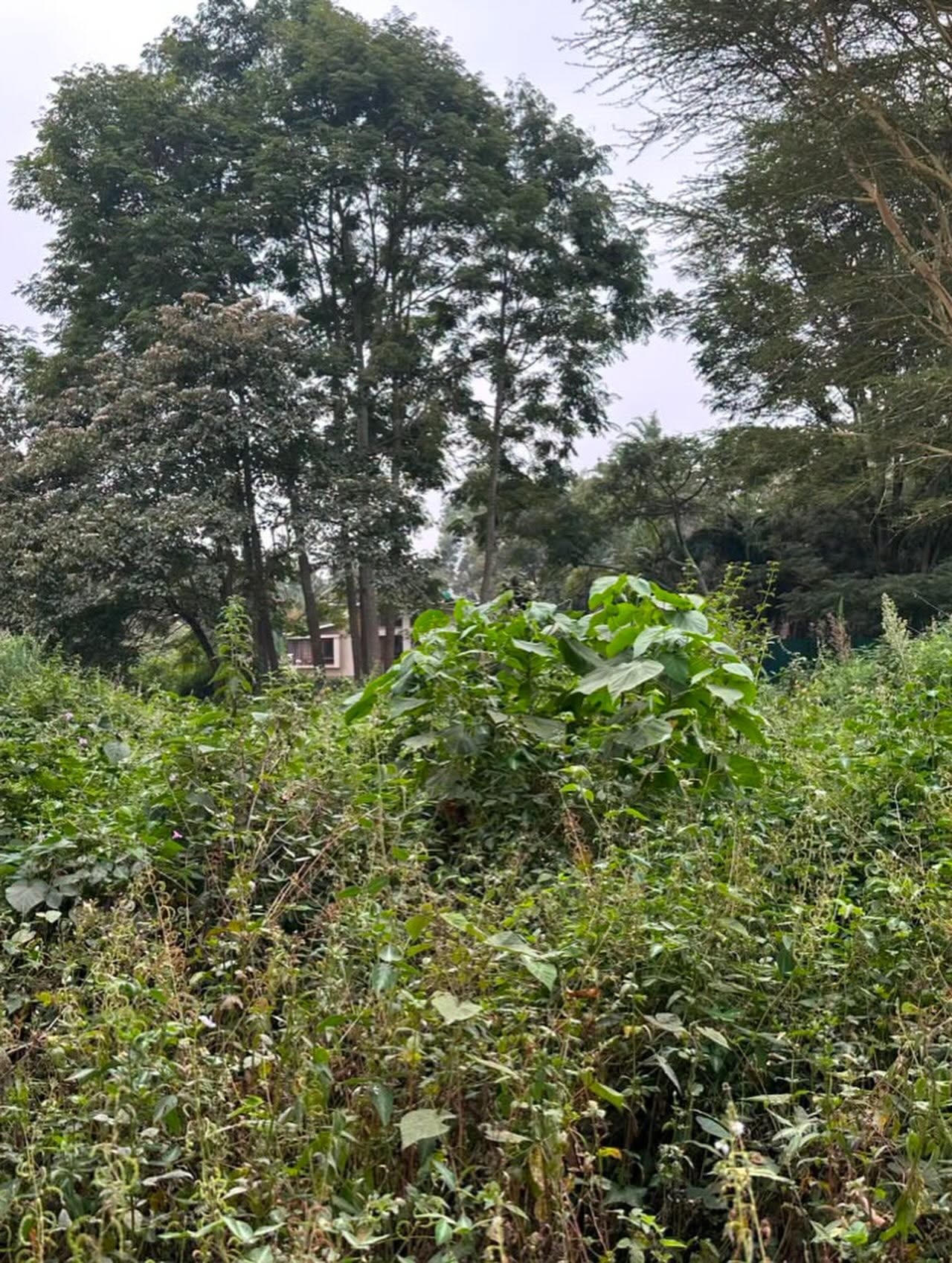 2.1-Acre Prime Development Land for sale in Spring Valley