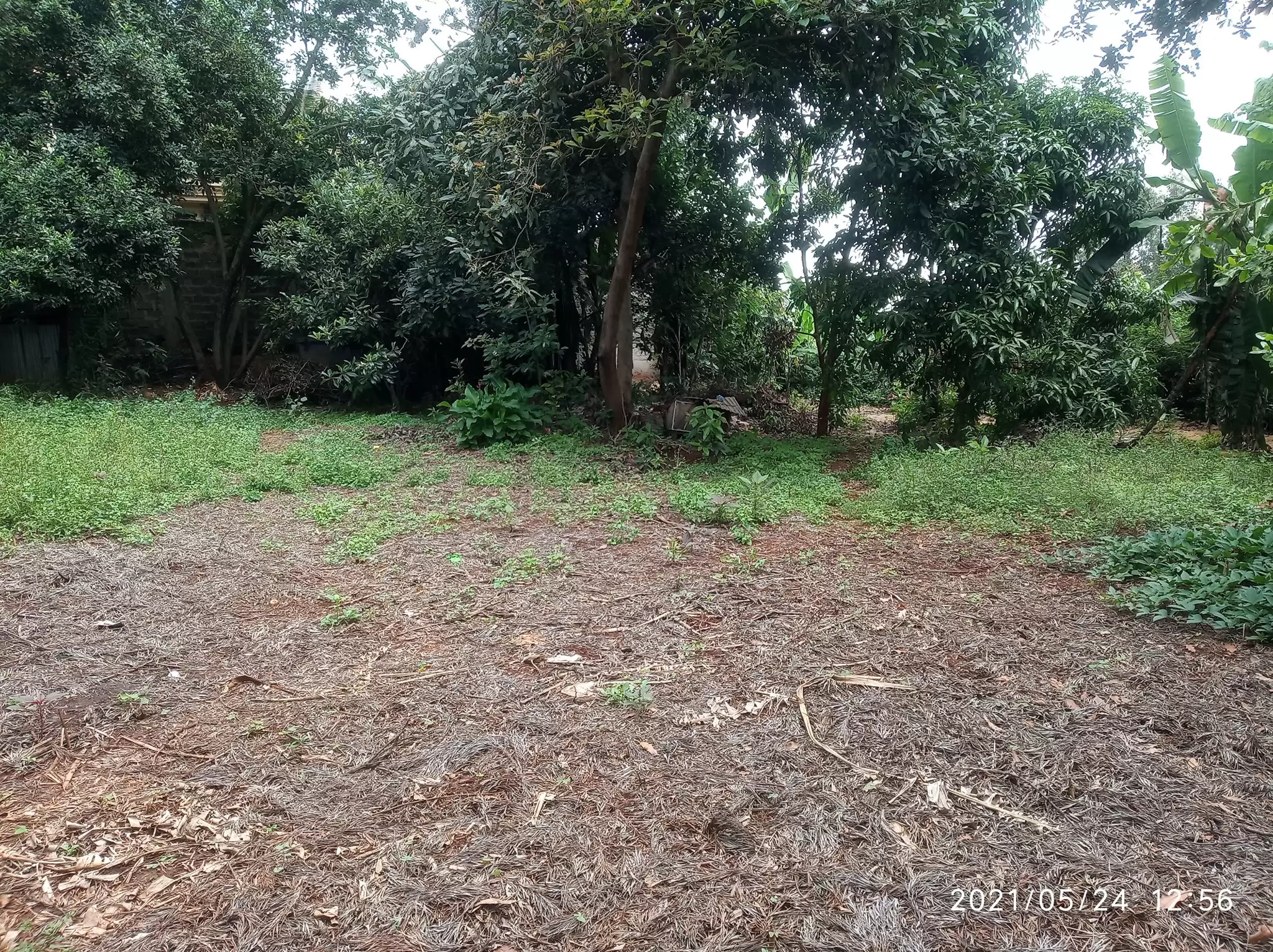 Prime plot for sale in Ridgeways Image