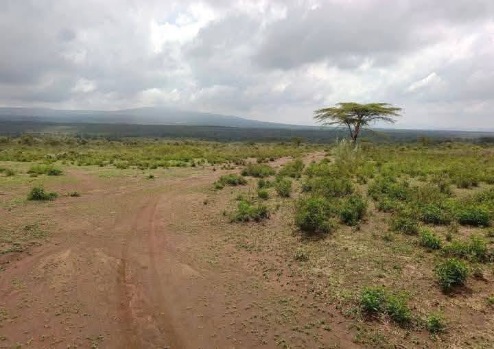 22 acres agricultural land for sale in duka moja, narok