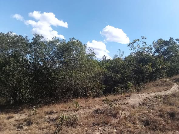 22 ACRES FOR SALE IN MURANG'A, NOKRAS RIVERINE AREA Image