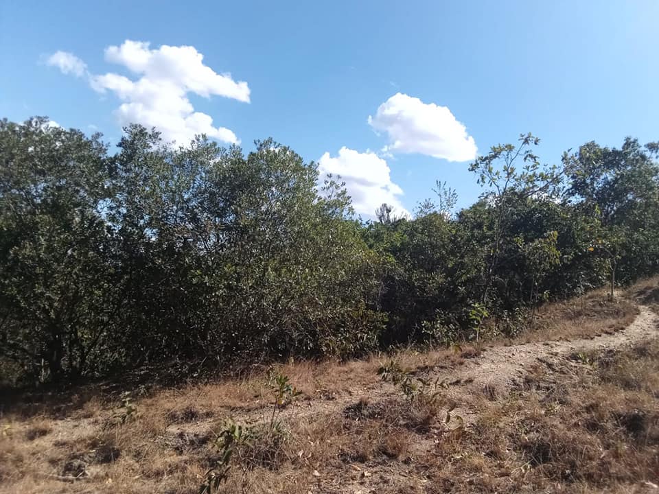22 acres for sale located at Murang'a, Nokras Riverine (Murang'a Road, Sagana). Image