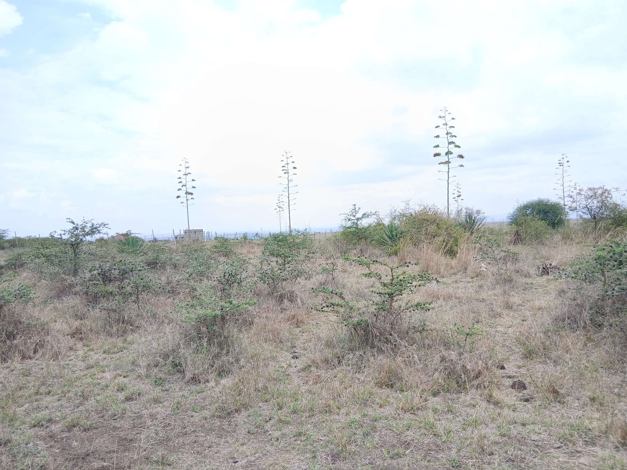 23 Acres for Sale Near Katani (Accessible via Utawala)