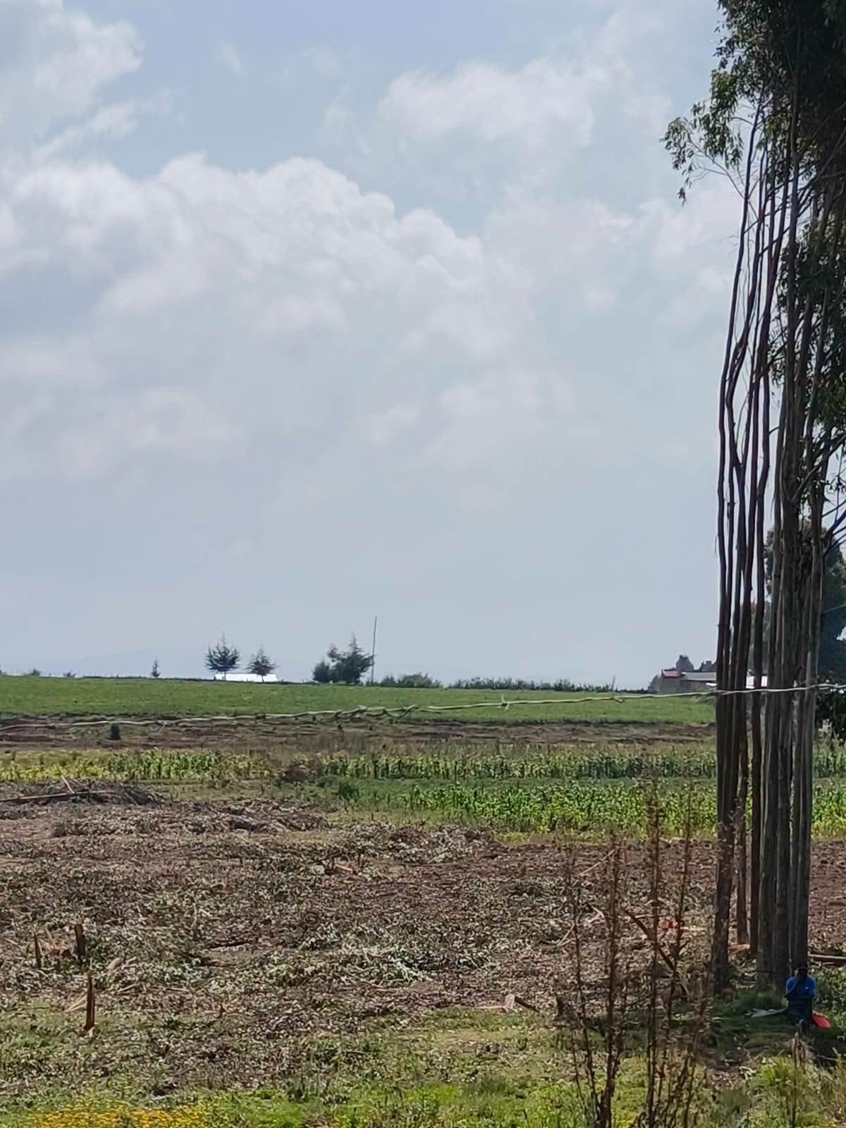 24 acres agricultural land for sale in molo, Murchorwe( Kuresoi South )