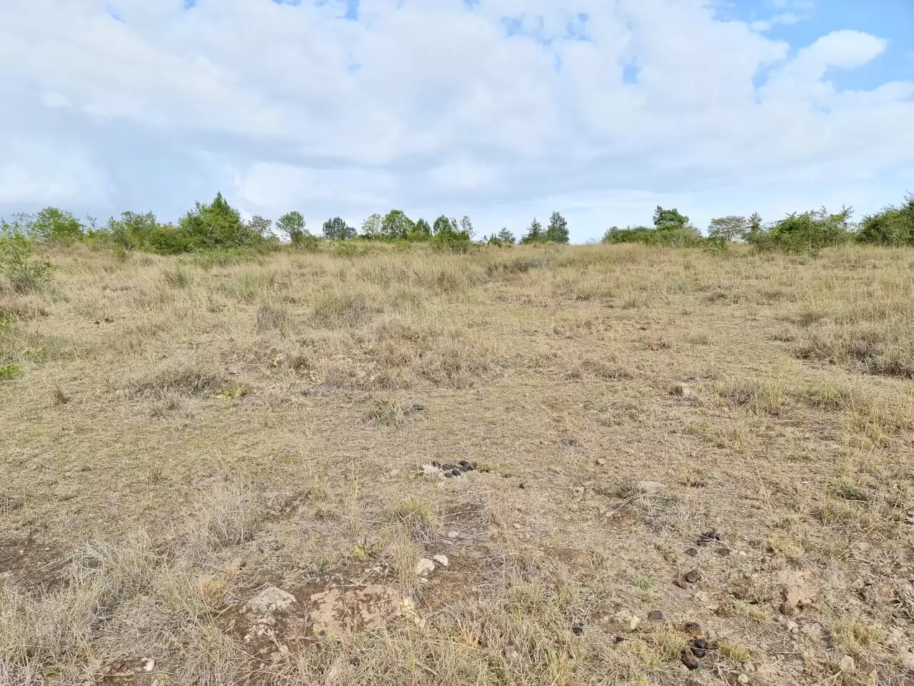 24 acres for sale in Kiserian Pipeline road
