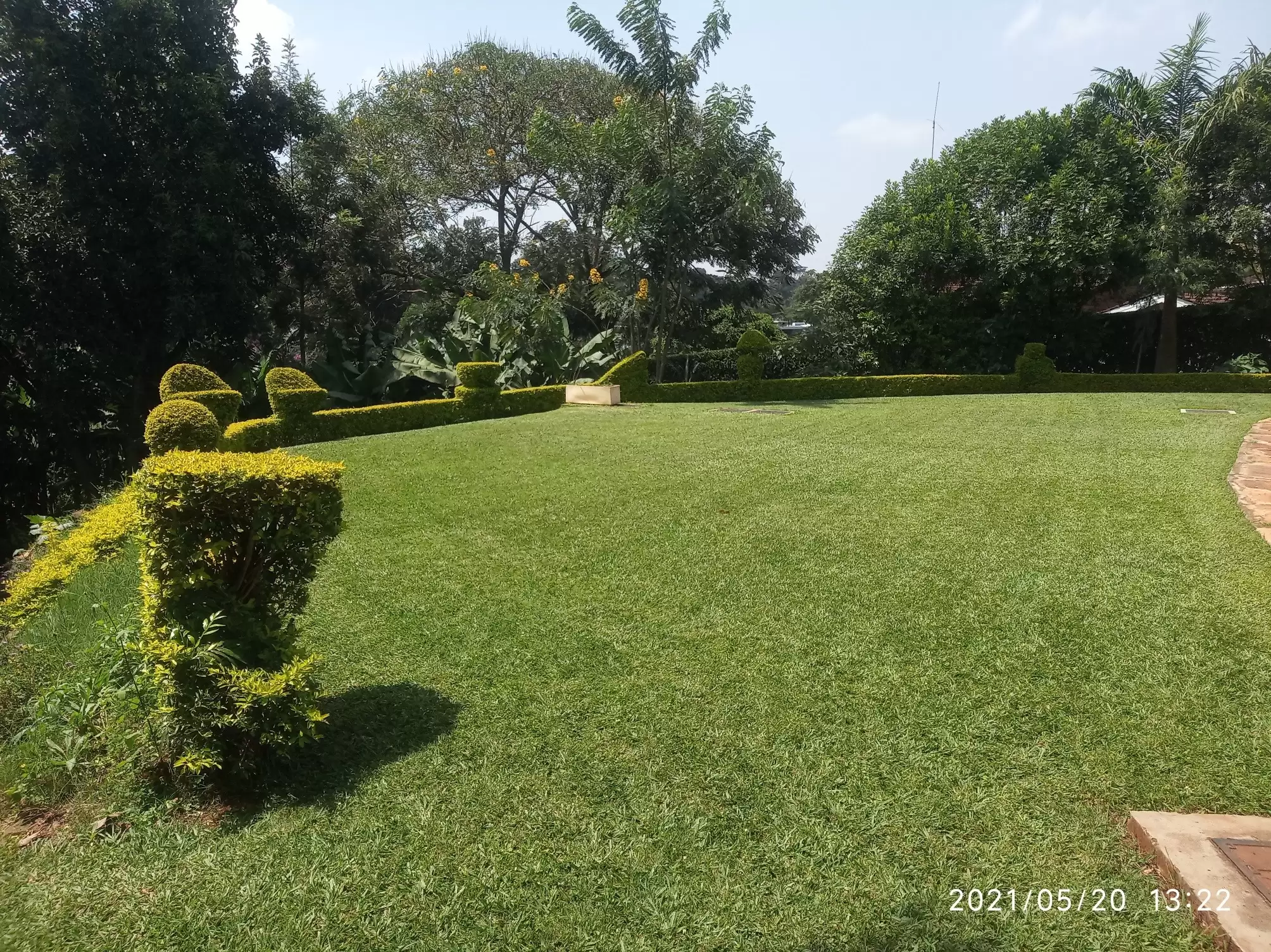 Five bedroom mansion to let in Runda Image