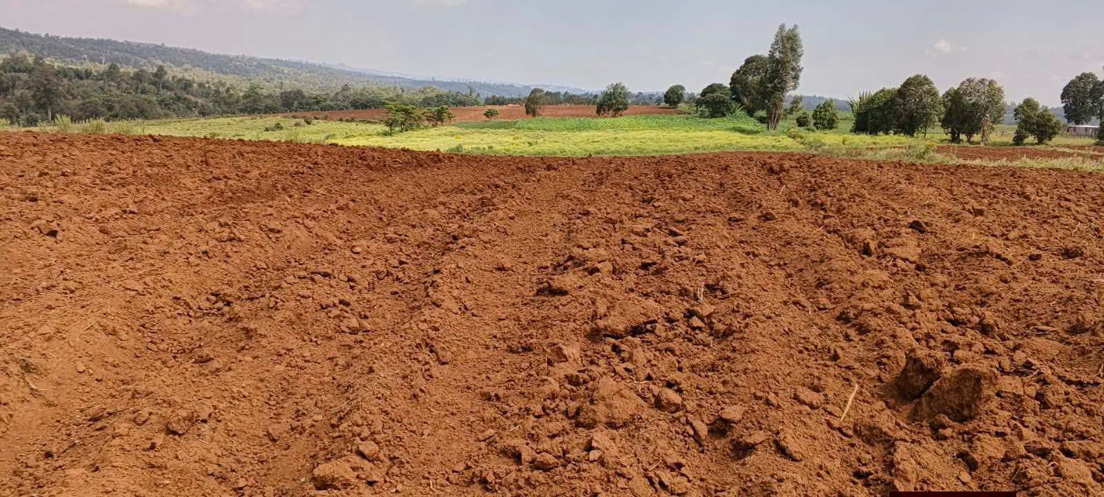 25 acre land for sale in Nakuru, Olenguruone (kuresoi south) Image