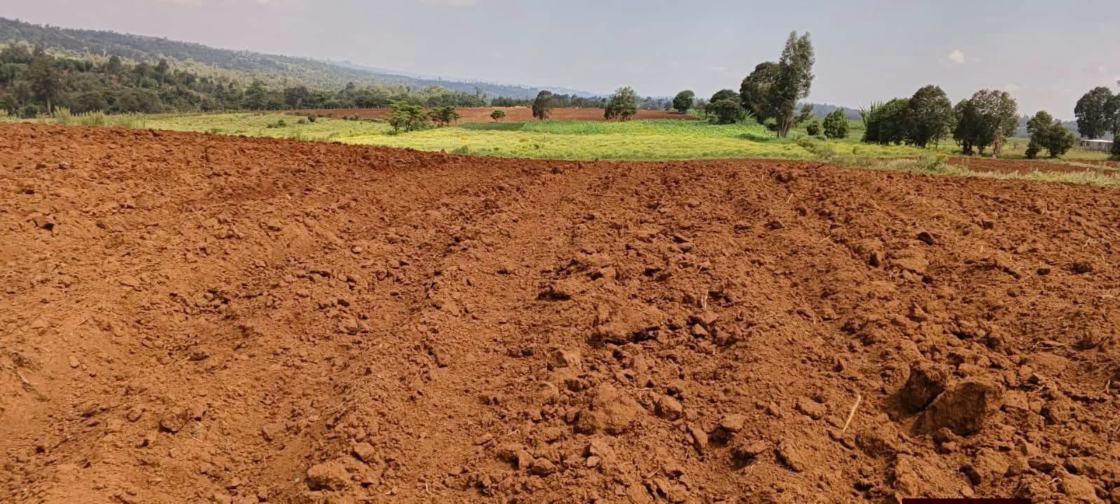 25 acre land for sale in Nakuru, Olenguruone (kuresoi south)