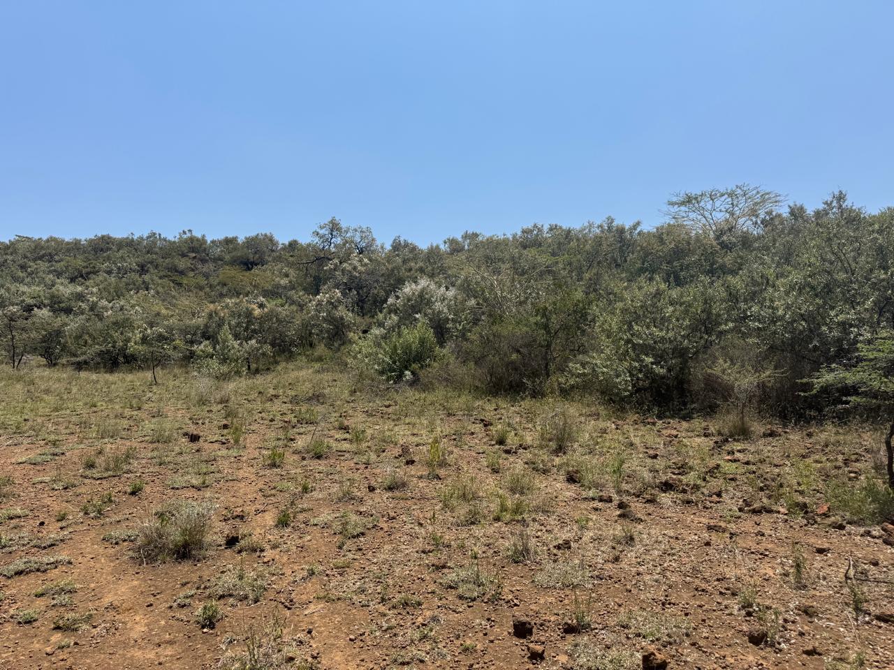 25 acre land for sale in Ngong Image