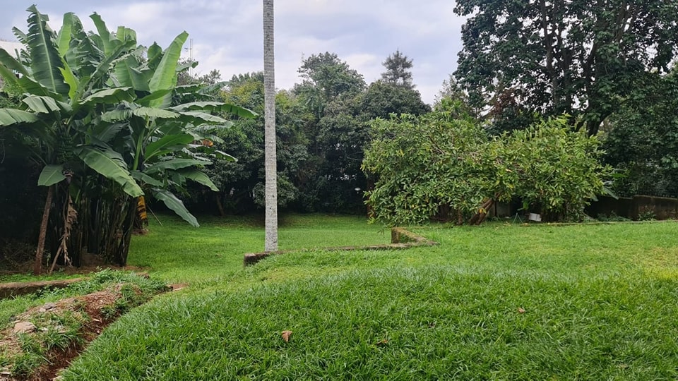 25 Acre Plot For Sale in Nyari