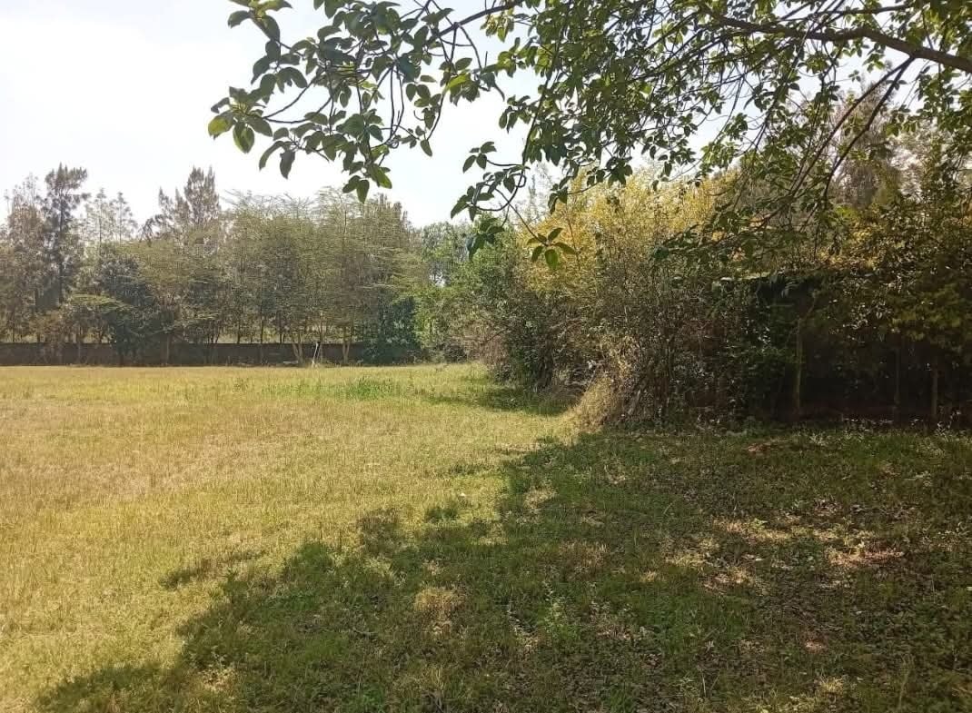 26 acre land for sale in Karen (Off Langata Road) Image