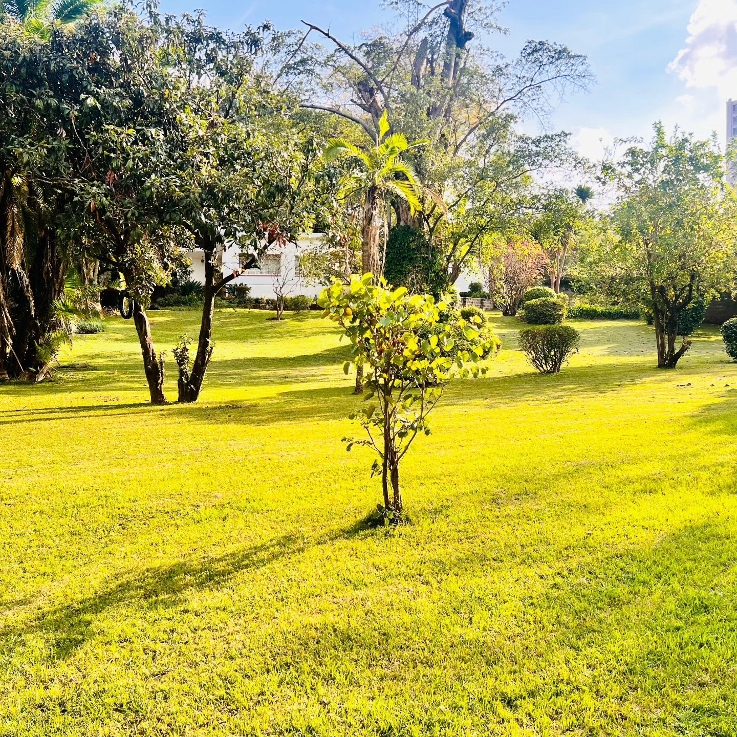 2.6 ACRES PRIME COMMERCIAL PROPERTY FOR SALE IN WESTLANDS| RIVERSIDE