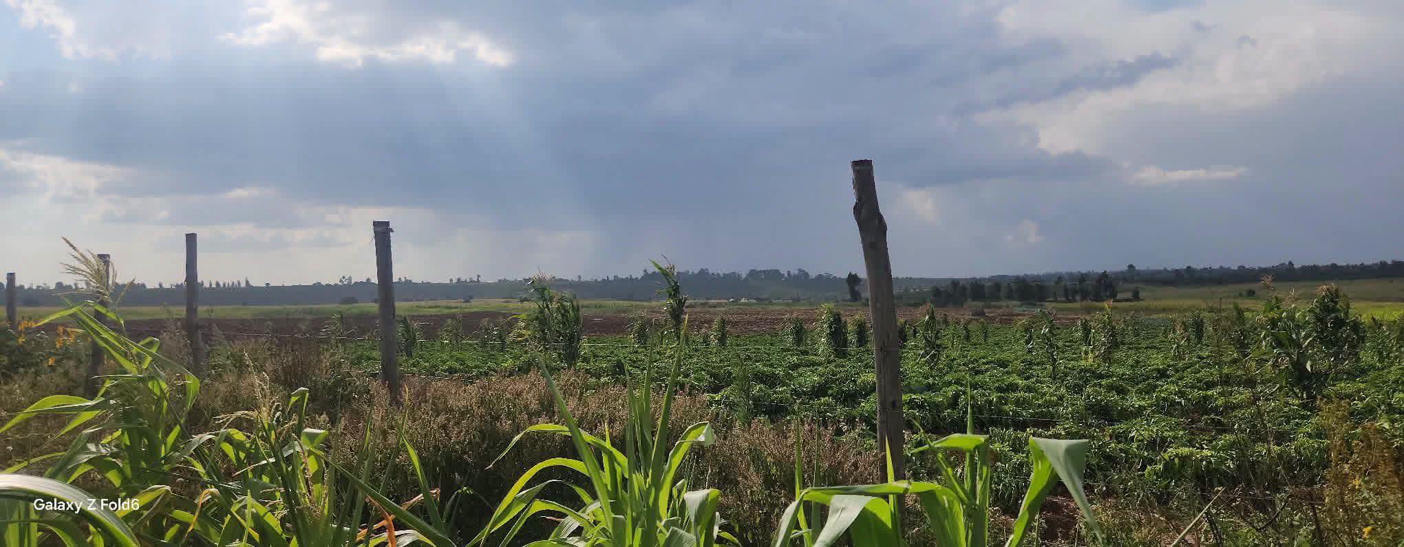 26 agricultural land for sale in Laikipia, Ndurumo Touching Rumuruti - Sipili Tarmac Rd Image