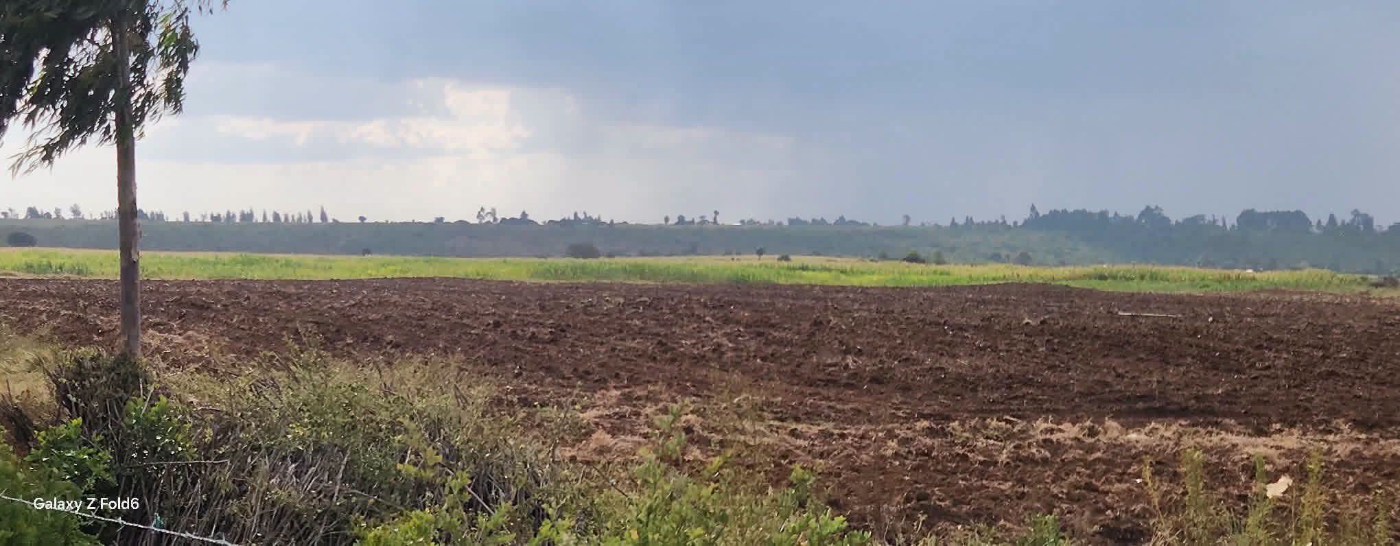 26 agricultural land for sale in Laikipia, Ndurumo Touching Rumuruti - Sipili Tarmac Rd