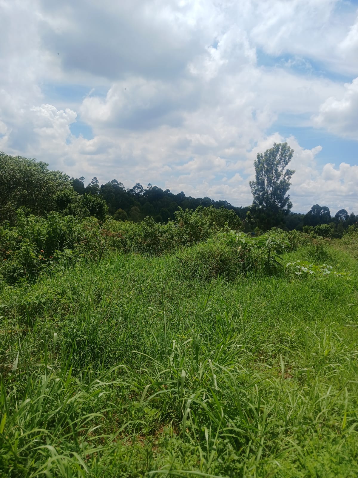 2.7 acres for sale in Loresho