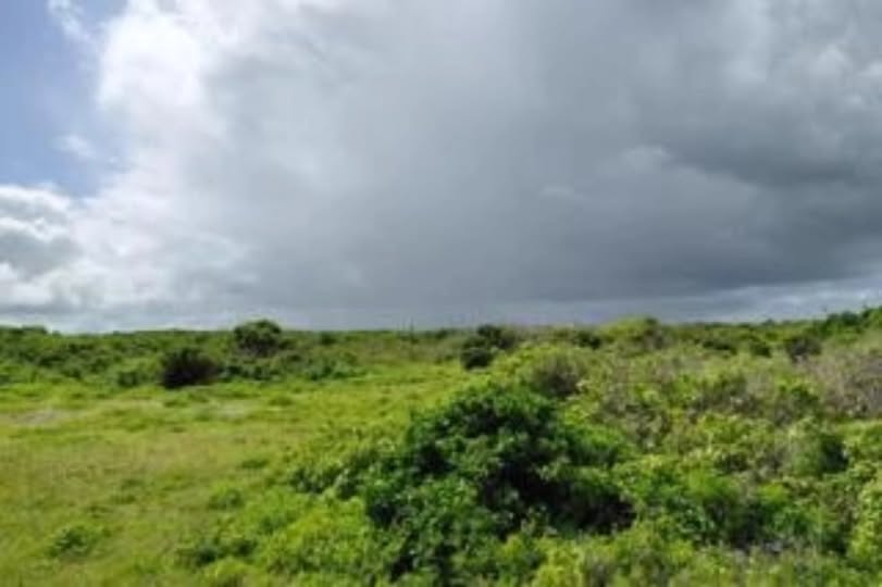 3 acre land for sale in kilifi, bofa