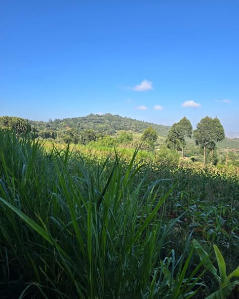 3 Acres for sale in mua hills