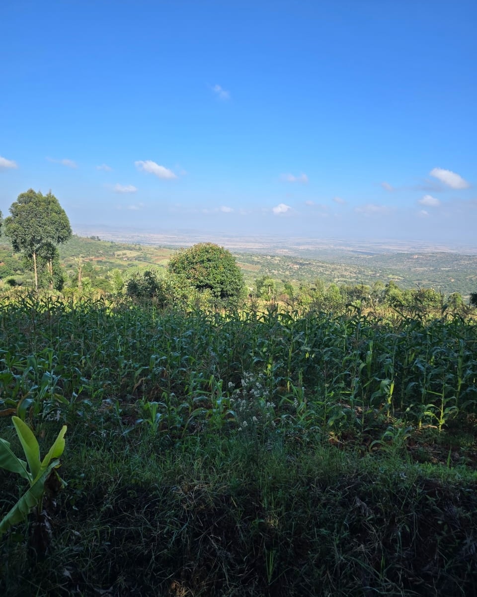 3 Acres for sale in mua hills Image