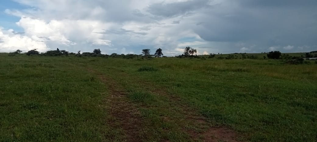 3 acres Land for Sale in Isinya, Kajiado County