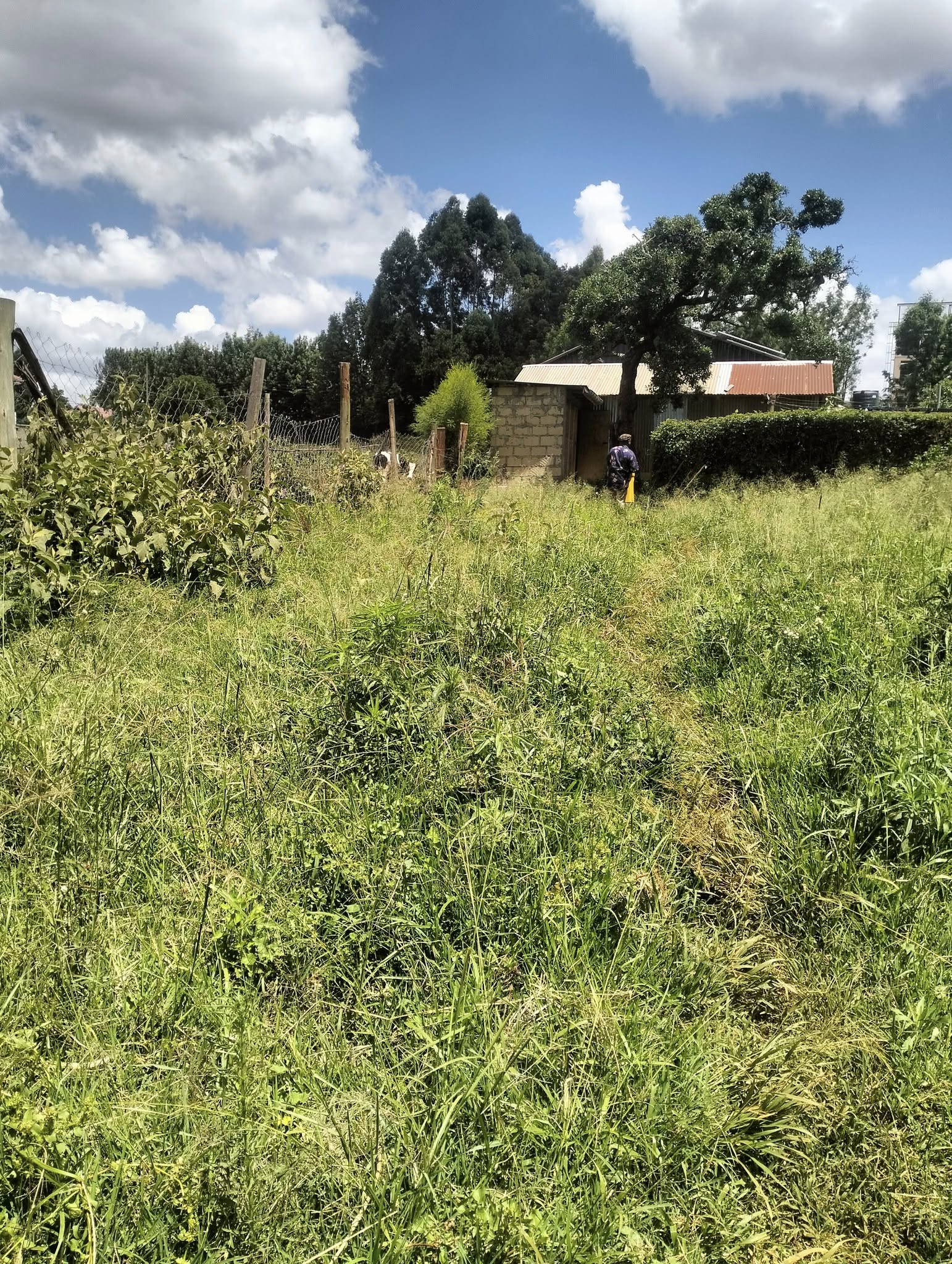 3 acres land for sale in Kikuyu ondiri road