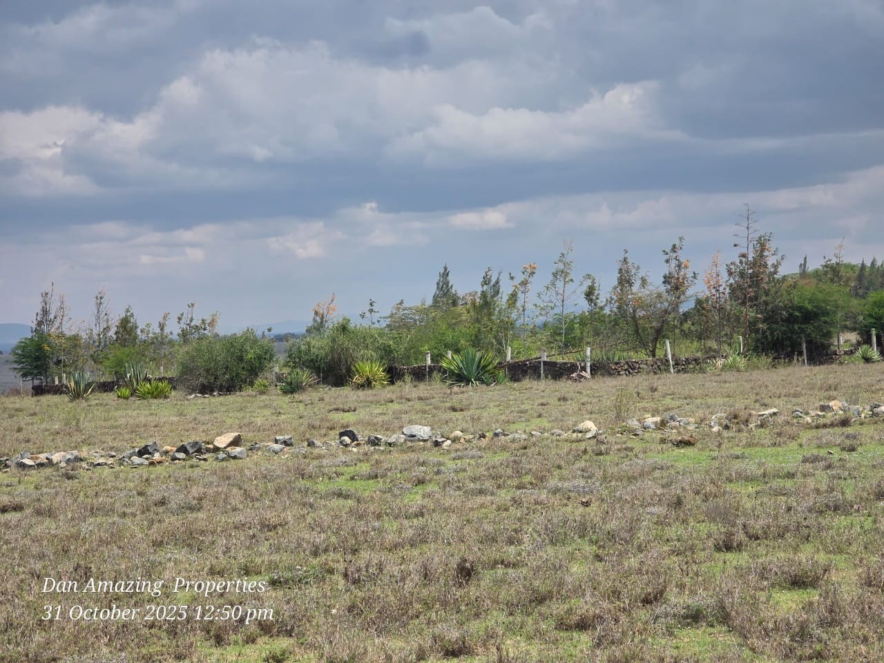 3 acres land for sale in Pipeline Road Birika Image