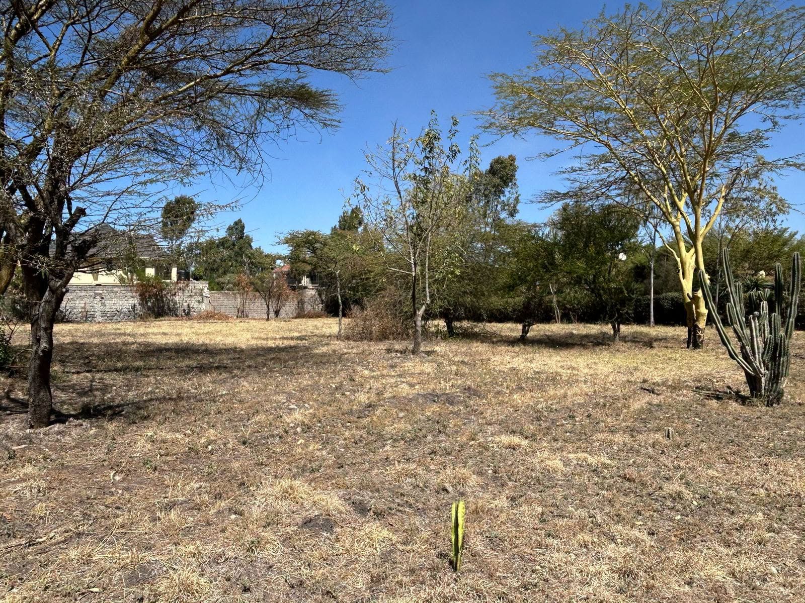 3 acres land for sale in syokimau Image