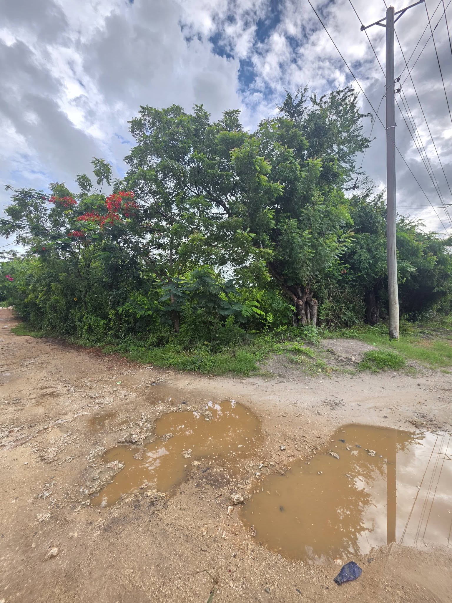 3 acres prime land for sale in Diani along Beach Road. Image