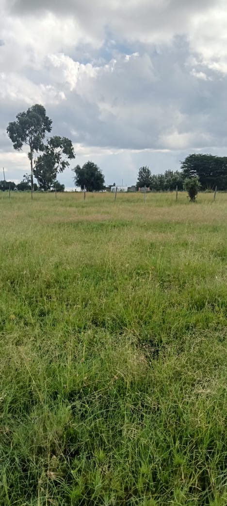 3 ACRES PRIME LAND FOR SALE IN KAJIADO TOWN