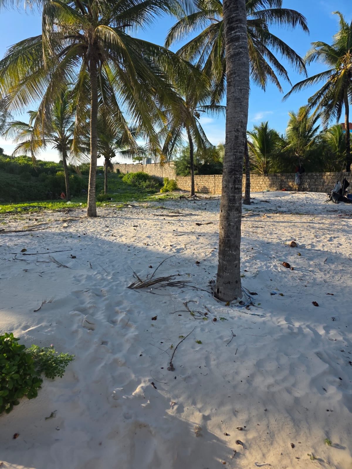 3 Acres Prime White Sand Beachfront Land for Sale in Watamu – Paparemo Area Image