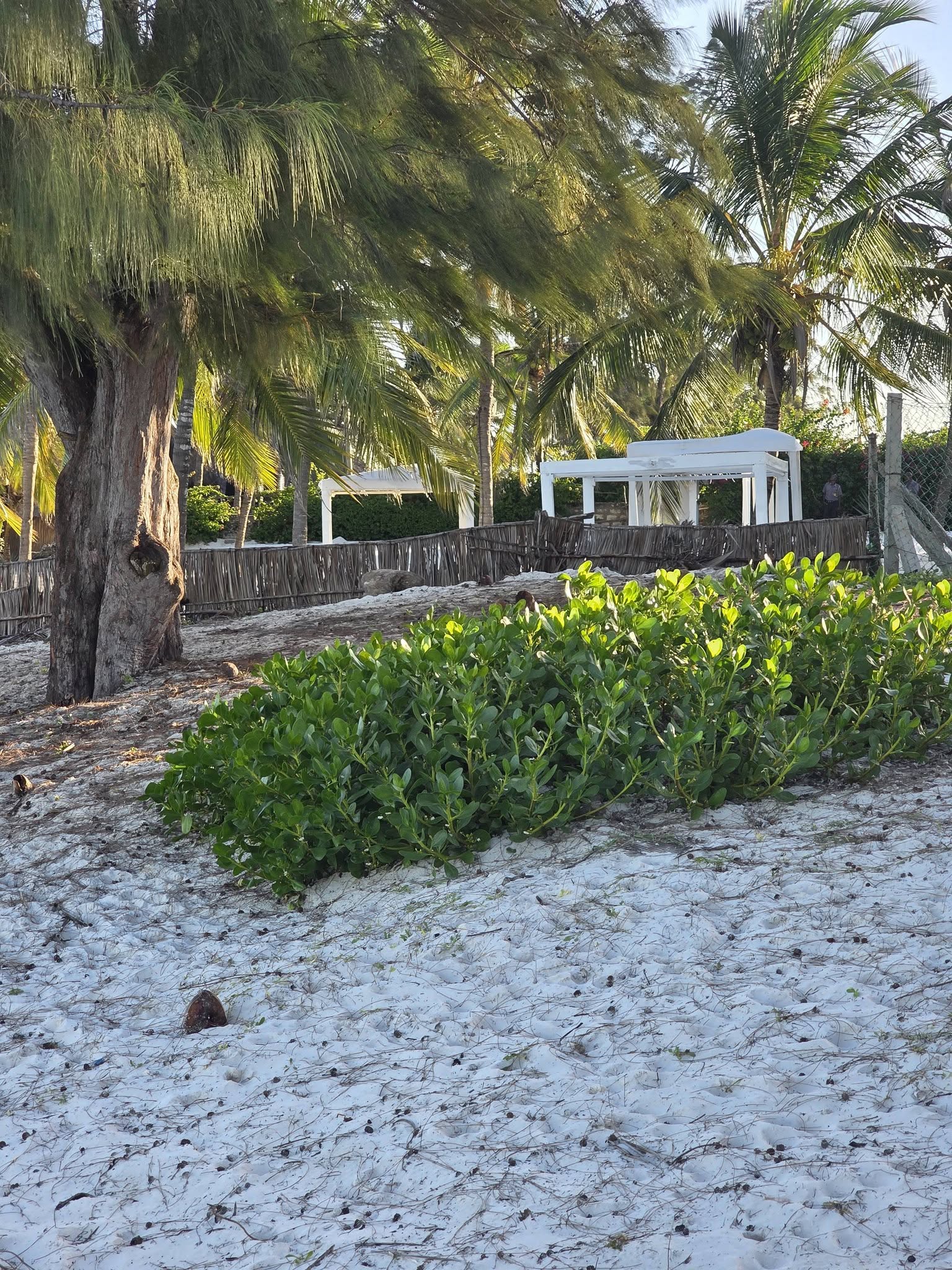 3 Acres prime white sand beachfront land for sale in Watamu Paparemo area.