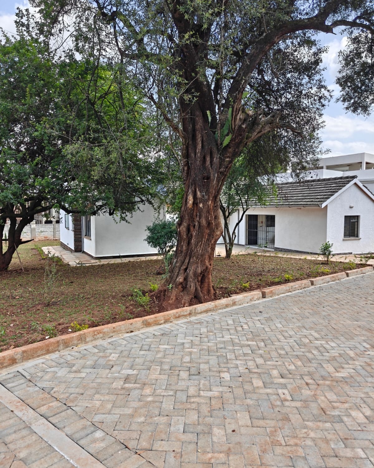 3 Bedroom Bungalow + DSQ To Let in Karen Image