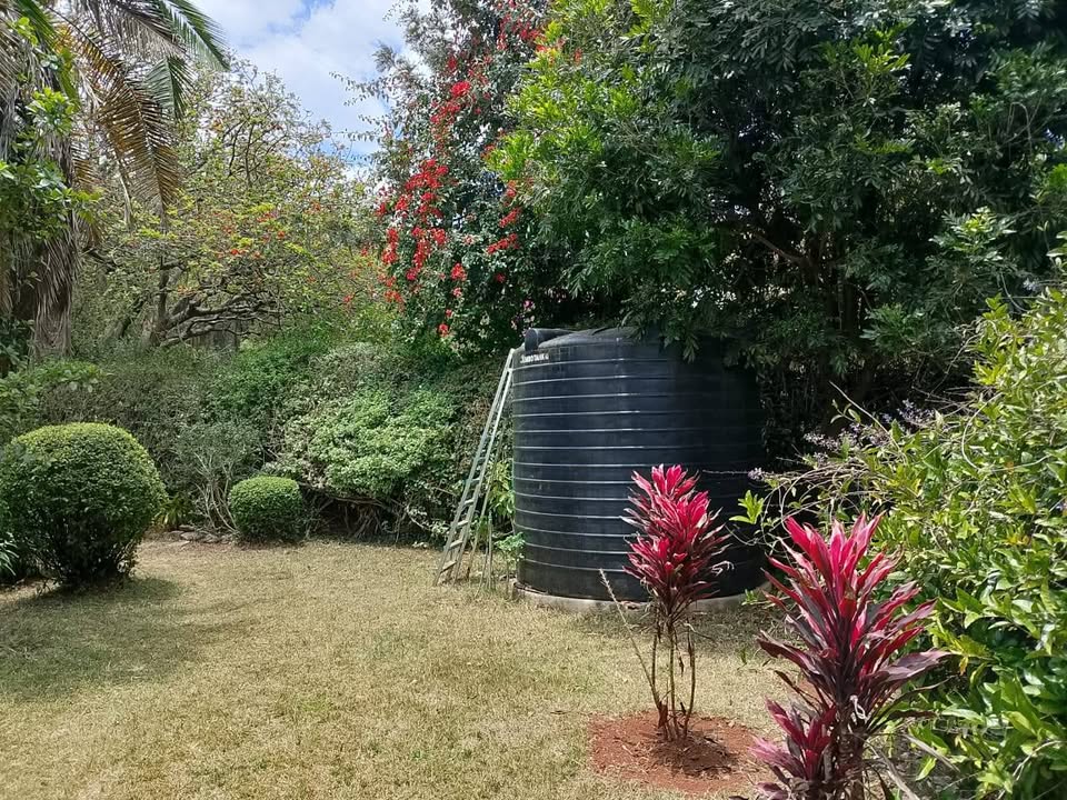 3 bedroom bungalow for rent in Karen Image