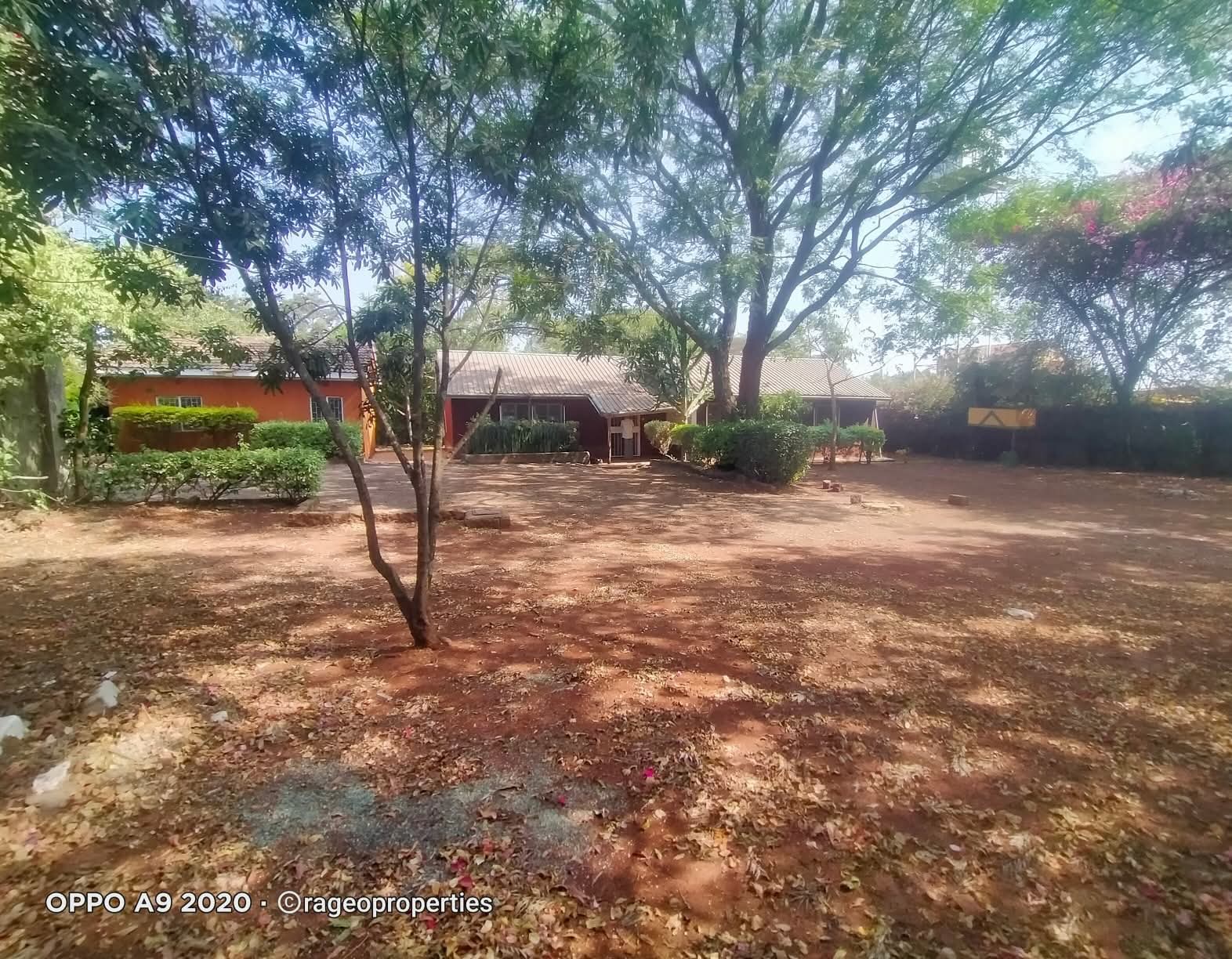 3 Bedroom Bungalow Plus SQ To Let in Karen Image