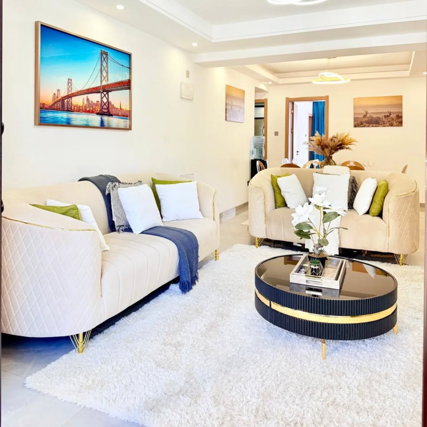 3 Bedroom Furnished Apartment for Rent in Riverside