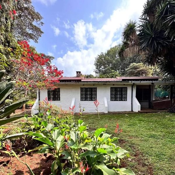 3 bedroom rustic bungalow to let in Karen