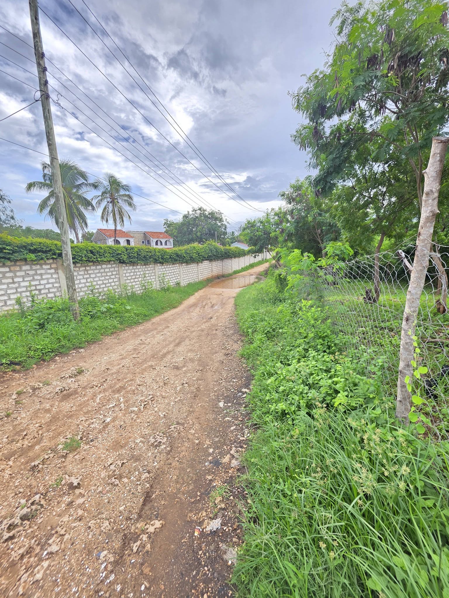 3 pieces of 1/4 acre plots for sale off Diani Beach Road in the Bogan Villa area, Diani.